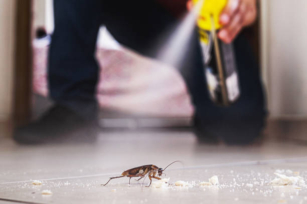 Best Pest Inspection Near Me  in Lansford, PA